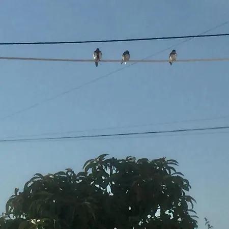 Casa Ritmo Do Mar Quatrim do Sul