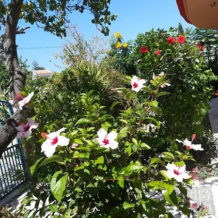Holiday home Casa Ritmo Do Mar *