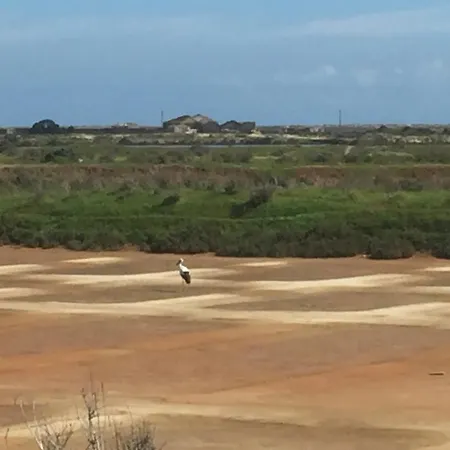 別荘 Casa Ritmo Do Mar